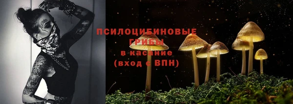 PSILOCYBIN Верхнеуральск