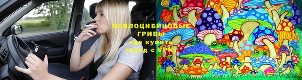 PSILOCYBIN Верхнеуральск